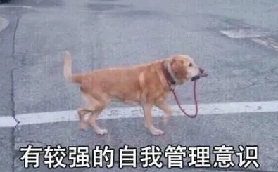 1618746926183358.png image.png