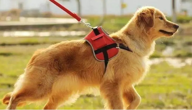 1618747171428897.png image.png